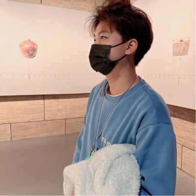 专业墙纸墙布
