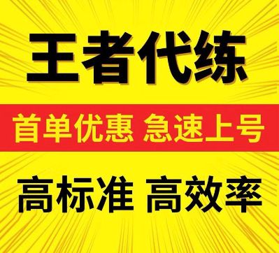 王者代练师王者工作室