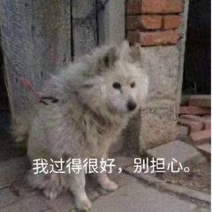 打孔