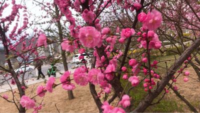 防盗门