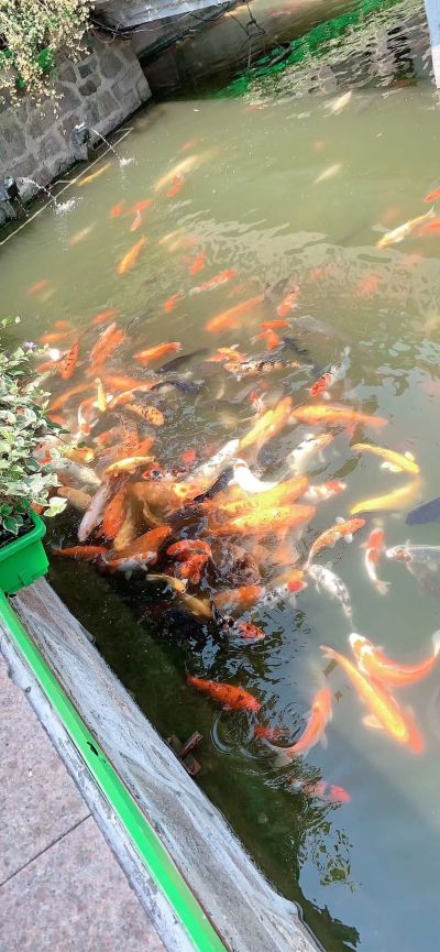 万能工