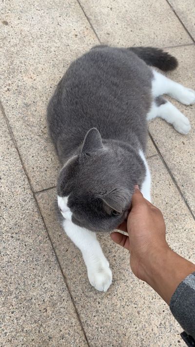 卫浴灯饰