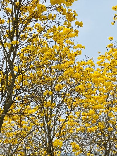 水电家具安装无