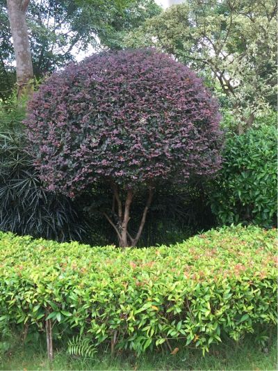 服务快递外卖无