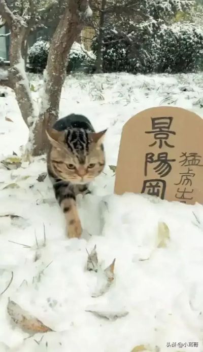瓷砖橱柜