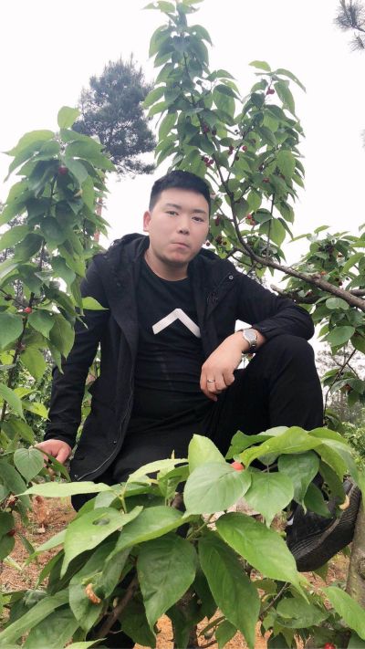 各类安装各类打胶美缝