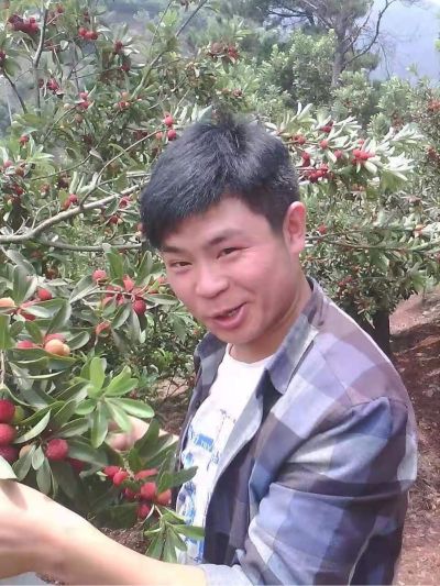 家电家具数码