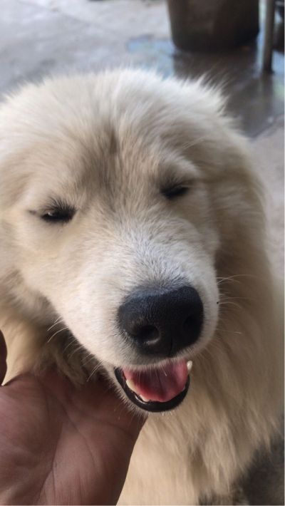 水电水电给排水