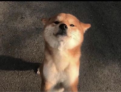 空调家具门窗空调门窗消防