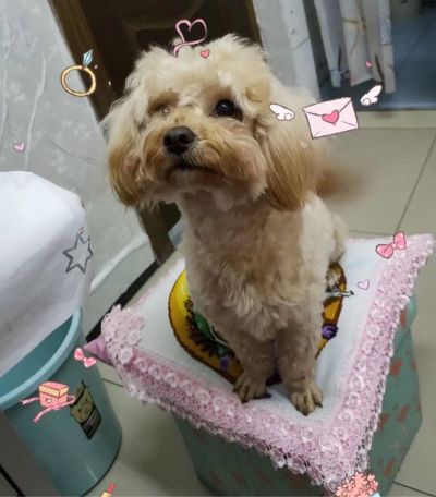 安装