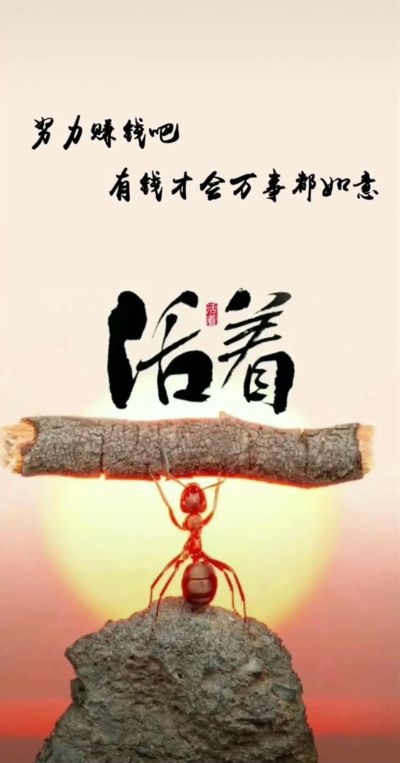 安装
