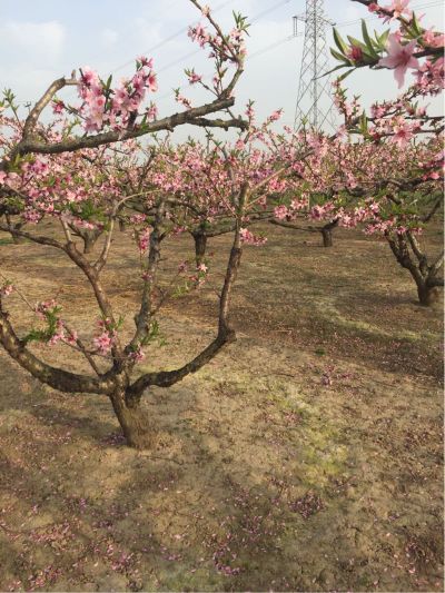 室内水电精装无