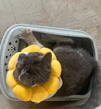 装修