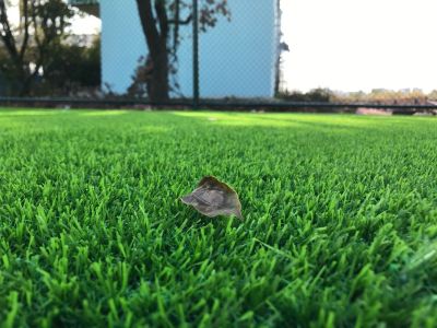 装修墙纸墙布地毯