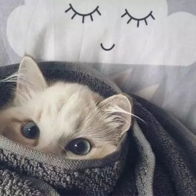 空调拆装空调拆装清洗