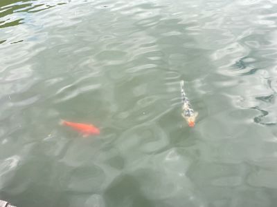 室内装修