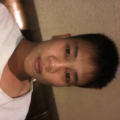 空调无
