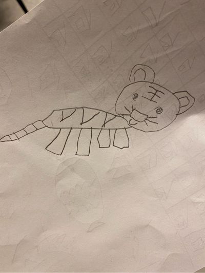安装各种