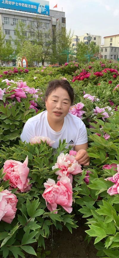 塑窗维修塑窗维修