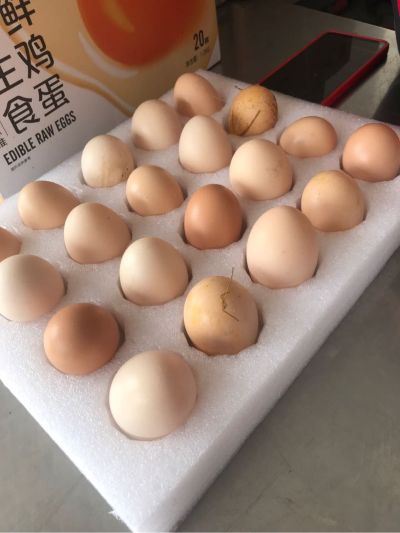 麻将机