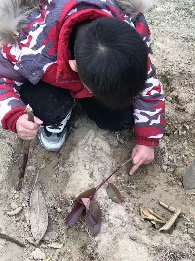 弱电智能化