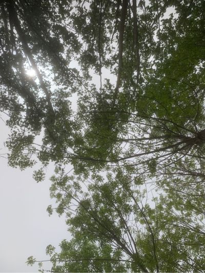 计算机计算机网络计算机网络