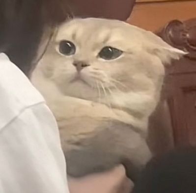 无