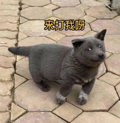 无