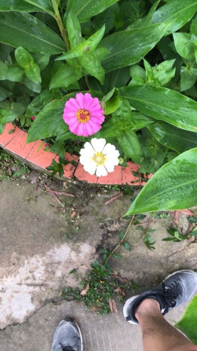 抹灰