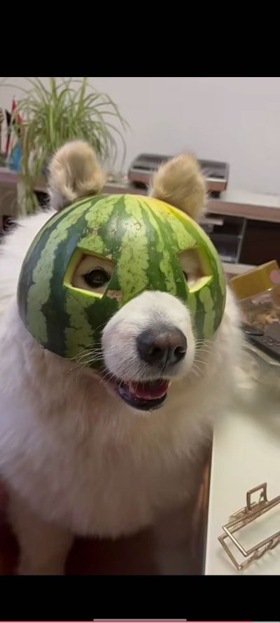 个人