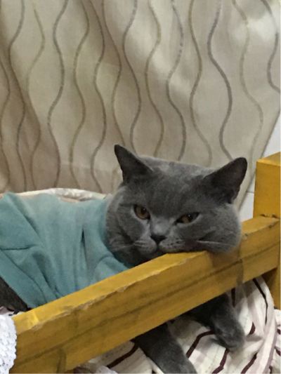 没有