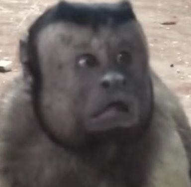 无