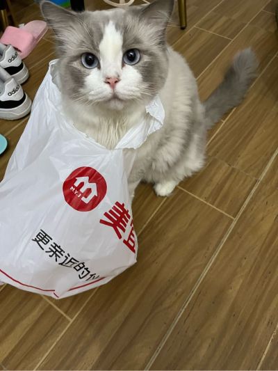装饰装修