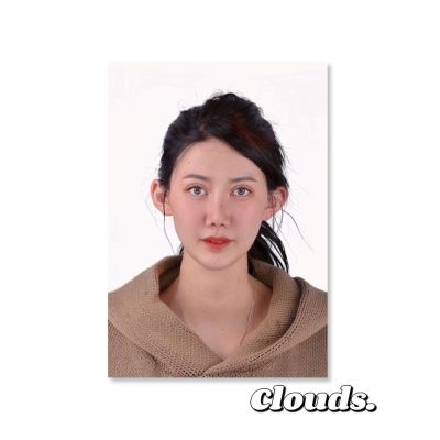 宠物