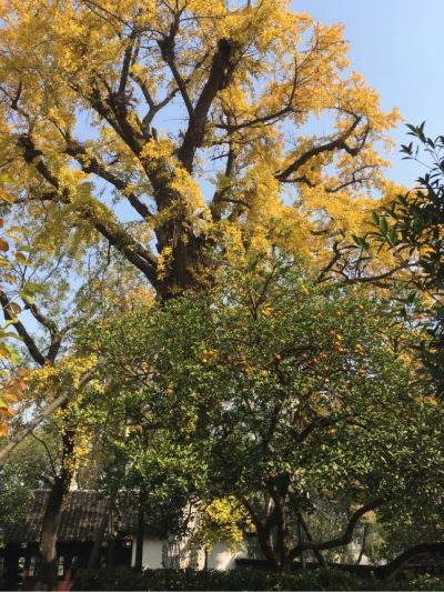 家具修复保养家具修复保养