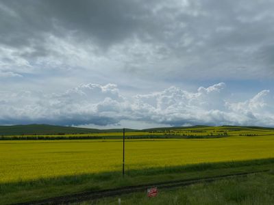 无