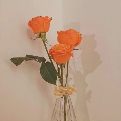 安装搬家送货