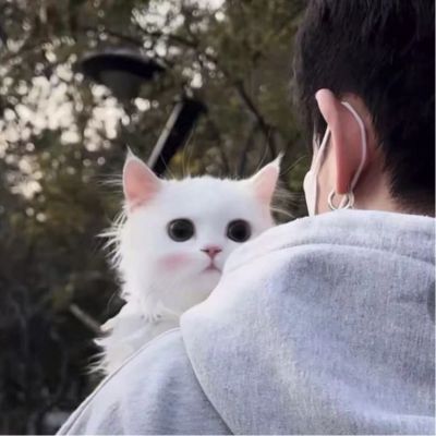 小工专业拆除