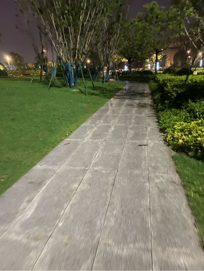 个体