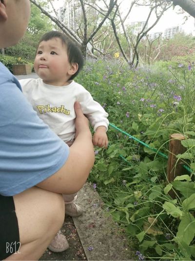 搬运搬货叉车搬运搬货无