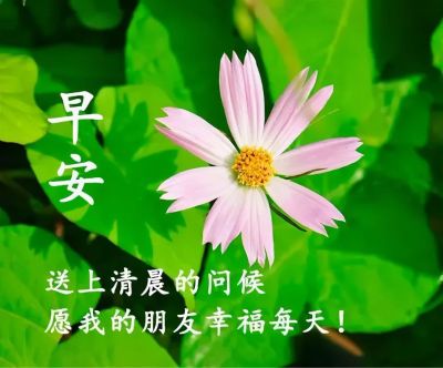 净水器
