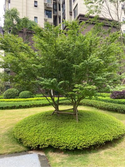 安装师傅安装师傅安装师傅安装师傅