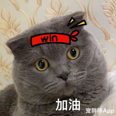 汽车配件批发