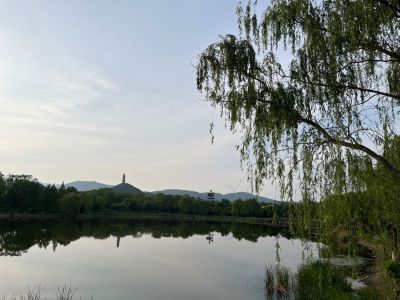 无