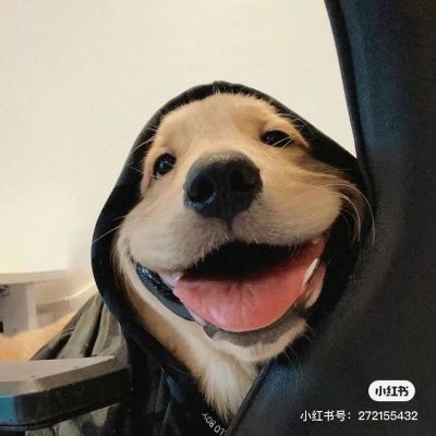 网络