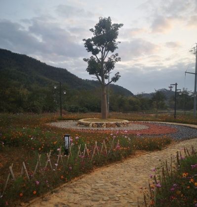 净水器安装净水器清洗空调安装新风系统