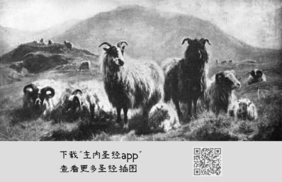 水暖工
