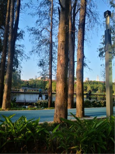 安装接电杂活维修安装