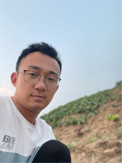 美缝窗帘
