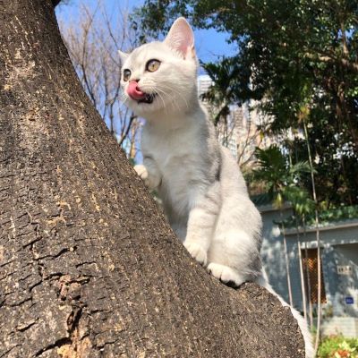 需要3个人帮忙卸货